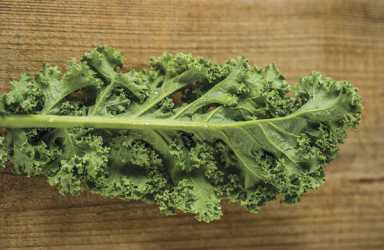 Eat right to protect your sight: Foods that maintain eye health