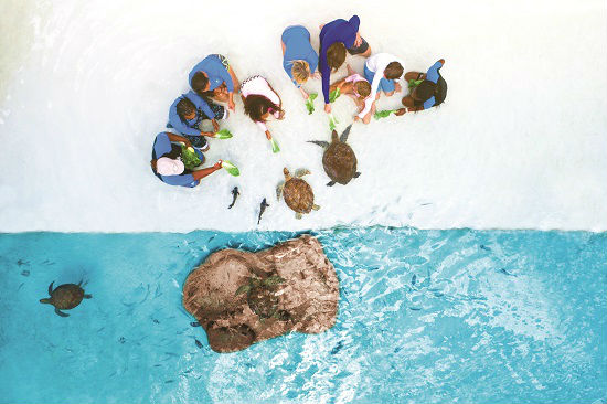 BEACH Sanctuary at Baha Mar