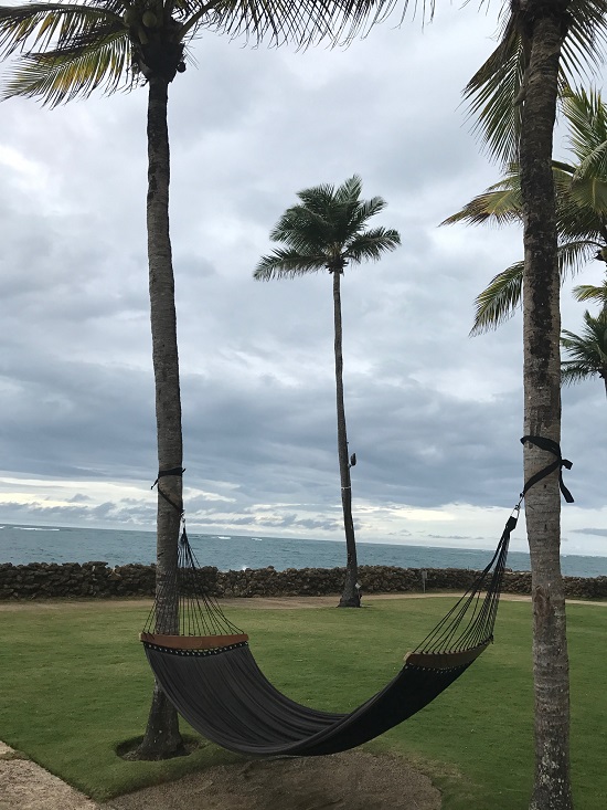 Hammock at the Condado Plaza Hilton 