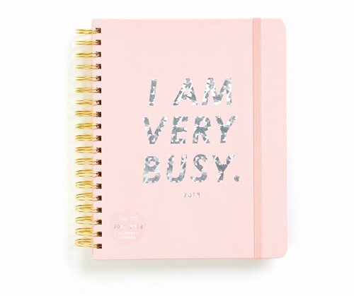 Millennial Pink: Planner