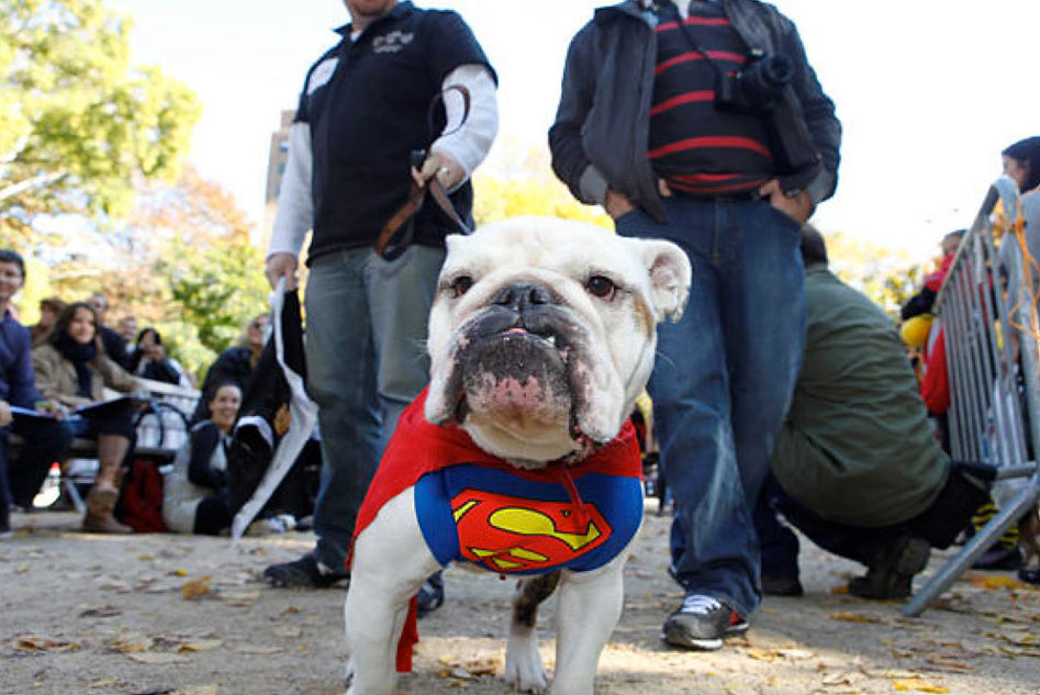 27th Annual Tompkins Square Halloween Dog Parade