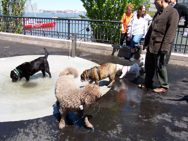 Sirius Dog Run