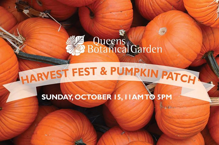 Queens Botanical Garden Harvest Fest And Pumpkin Patch