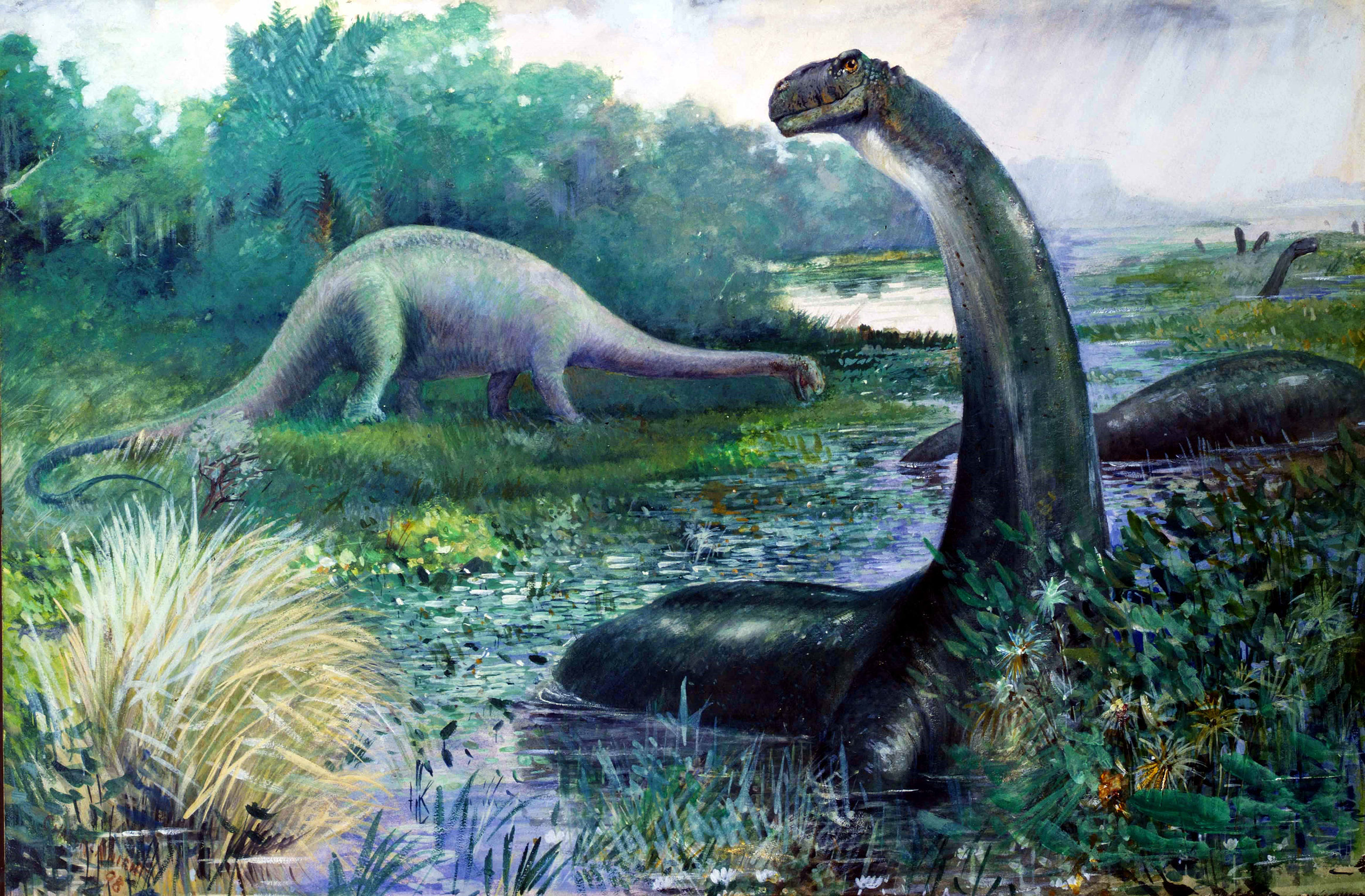 “Rhoda And The Fossil Hunt” At American Museum Of Natural History