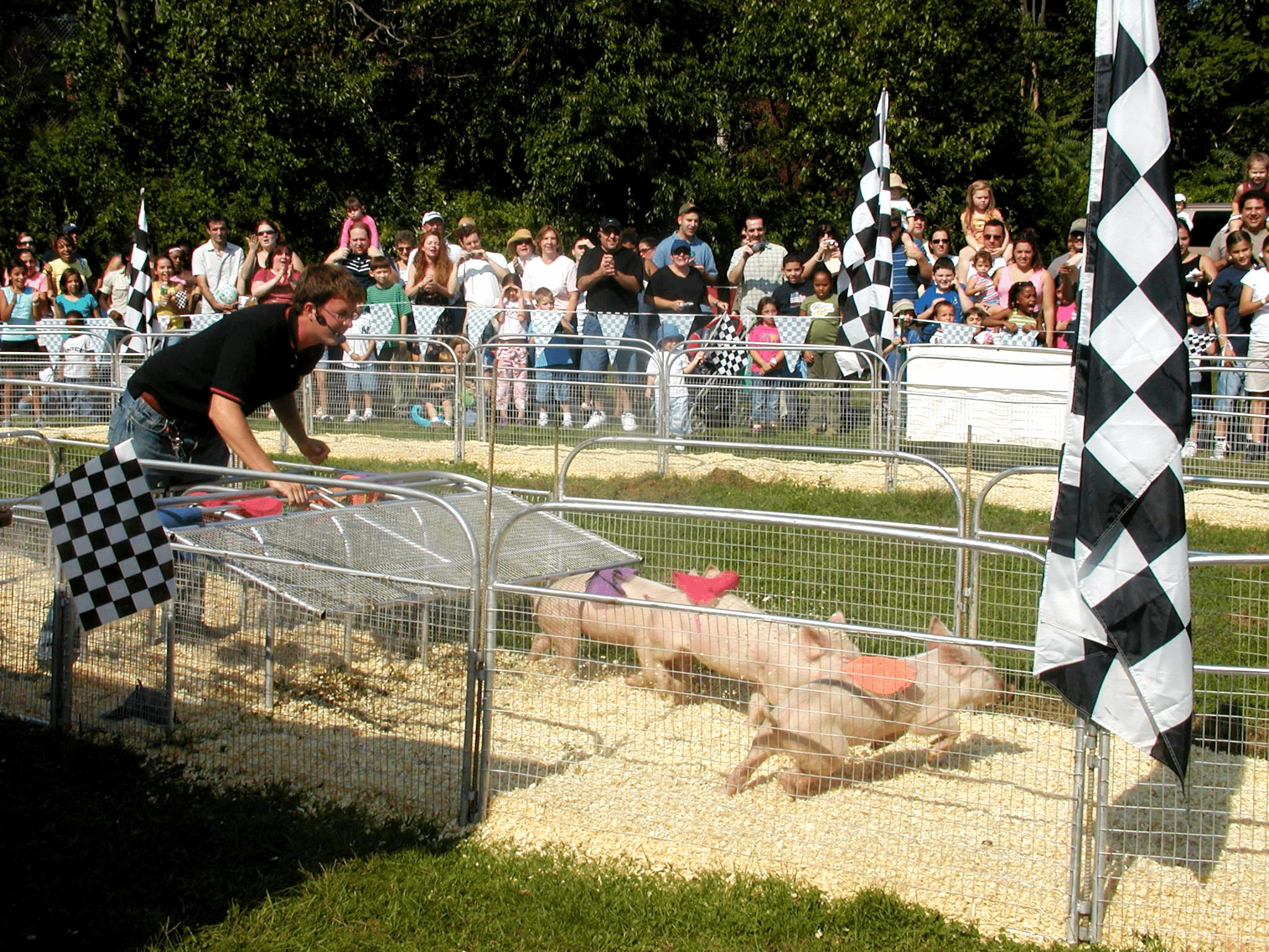 35th Annual Queens County Fair