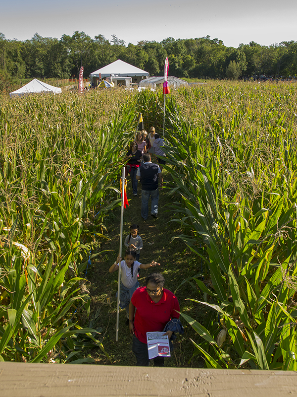 15 Great Events For The Family This Fall New York Family