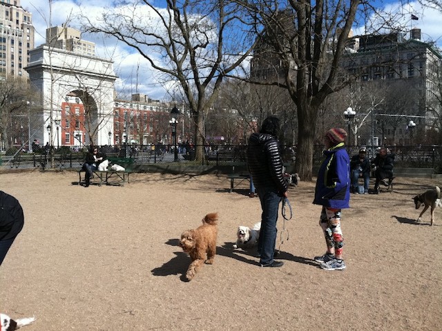 Washington Square Park Dog Run 