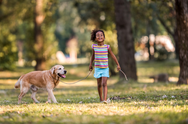 Smiling African American girl walking her dog on a leash.