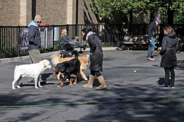 Mercer/Houston Dog Run