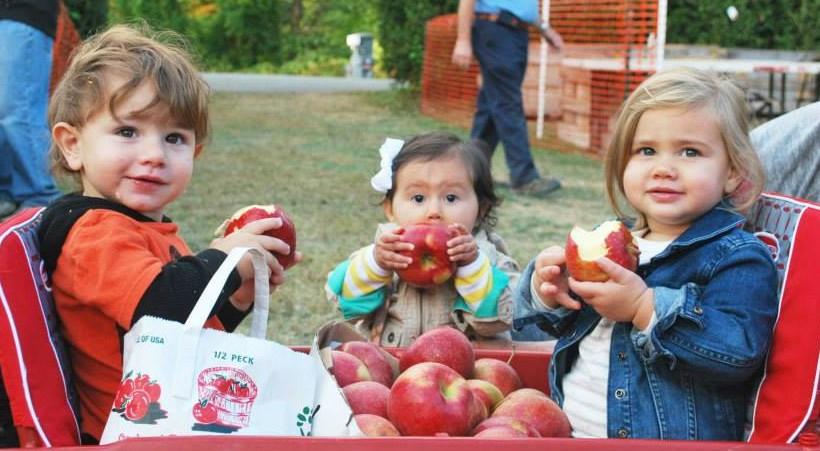 Mill Neck Manor Fall Harvest Festival