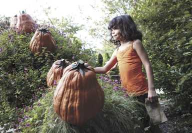 Scary pumpkins and spooky scarecrows, oh my!