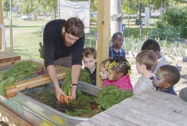 Fun for all at Randall’s Island Harvest Festival