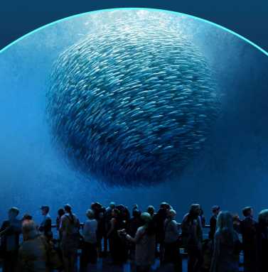 National Geographic Ocean Odyssey