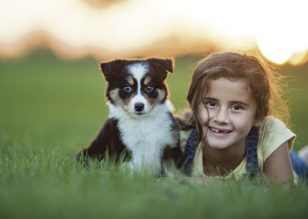 Bringing home puppy: Finding a dog to fit your family’s lifestyle