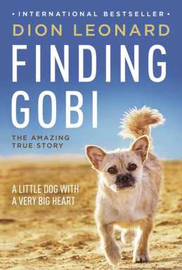 Running towards friendship