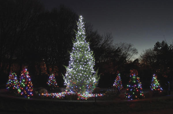 Christmas extravaganza at Queens Botanical Garden