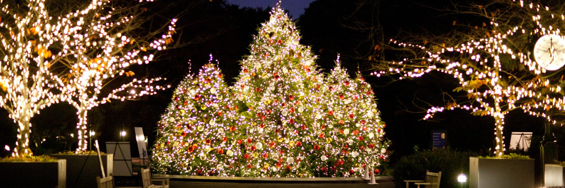 Holiday Tree Lighting At New York Botanical Garden