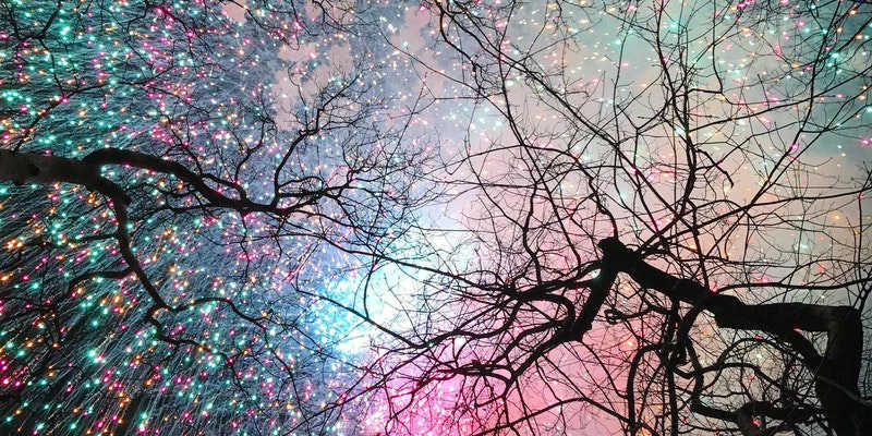 New Year's Eve in Prospect Park