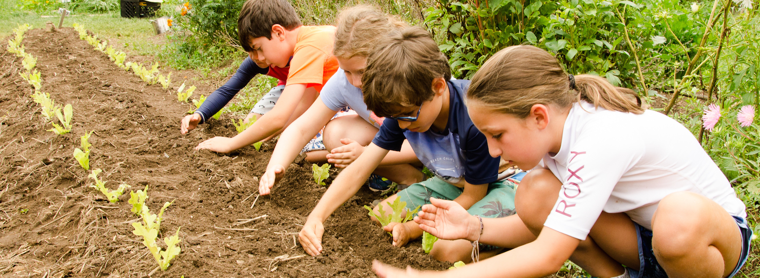 Nature Place Day Camp