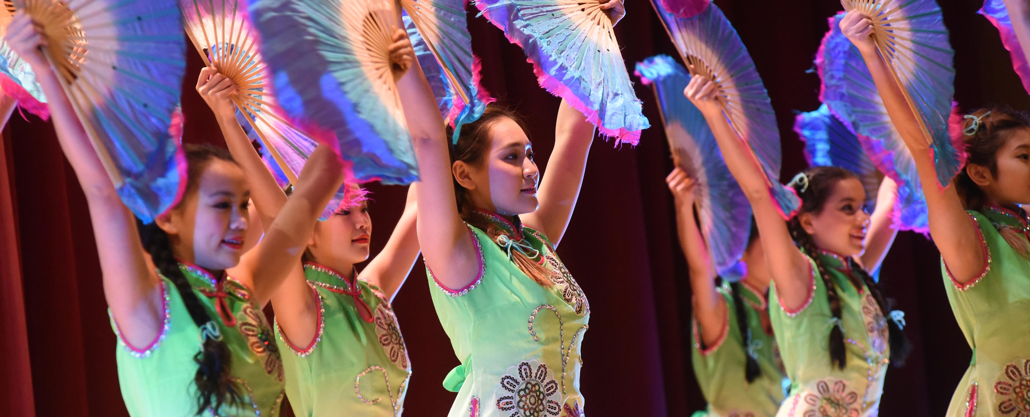 Lunar New Year Fest