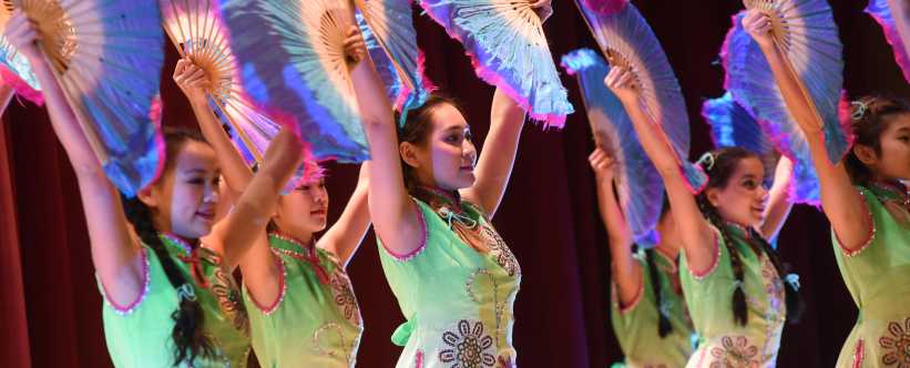 Lunar New Year Fest