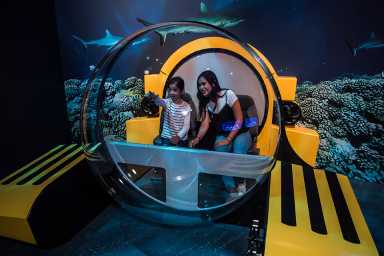parent and child in submersible