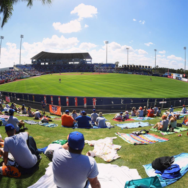 people at baseball field watching