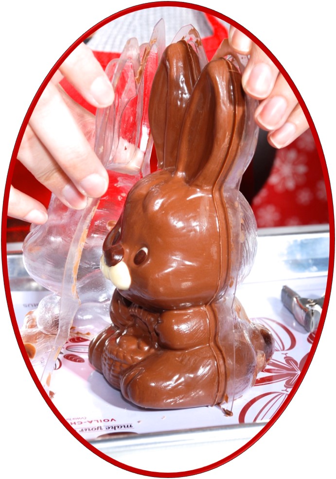 Make Your Own Chocolate Bunny