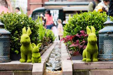bushes shaped like bunnies in garden