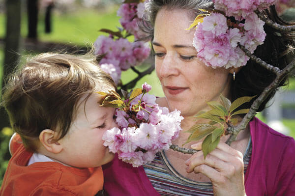 Take time to stop and smell the cherry blossoms when the Brooklyn Botanic Garden's cherry blossom season kicks off on April 28. Thousands of visitors enjoy it each year; like Megan Lappin and her son Finn.