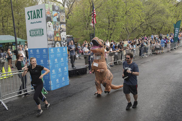 Go wild at the Bronx Zoo’s Run for the Wild