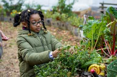 girl touches plant