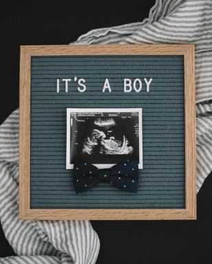 Gender Reveal