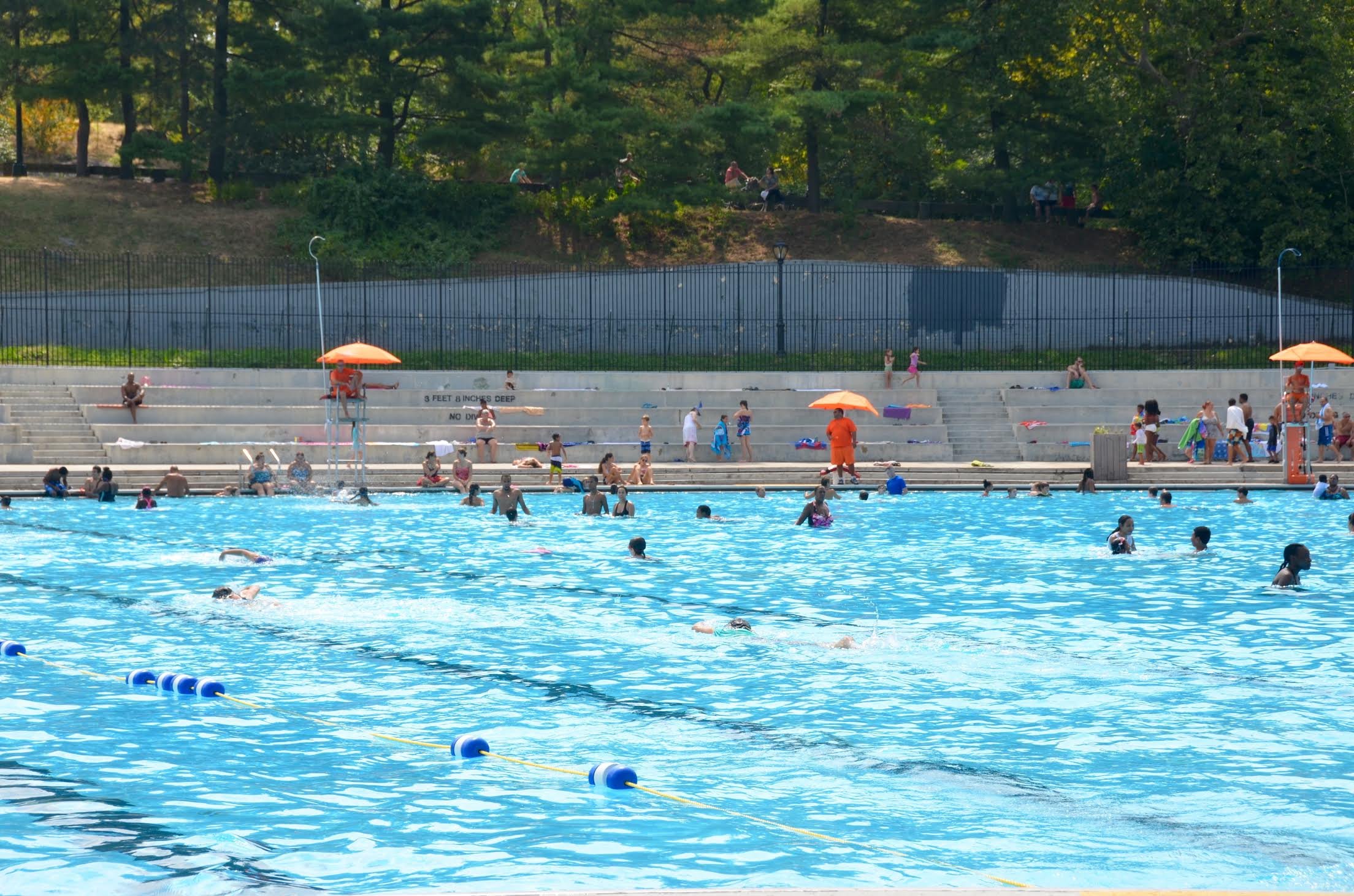 Swim Time at Van Cortlandt Park