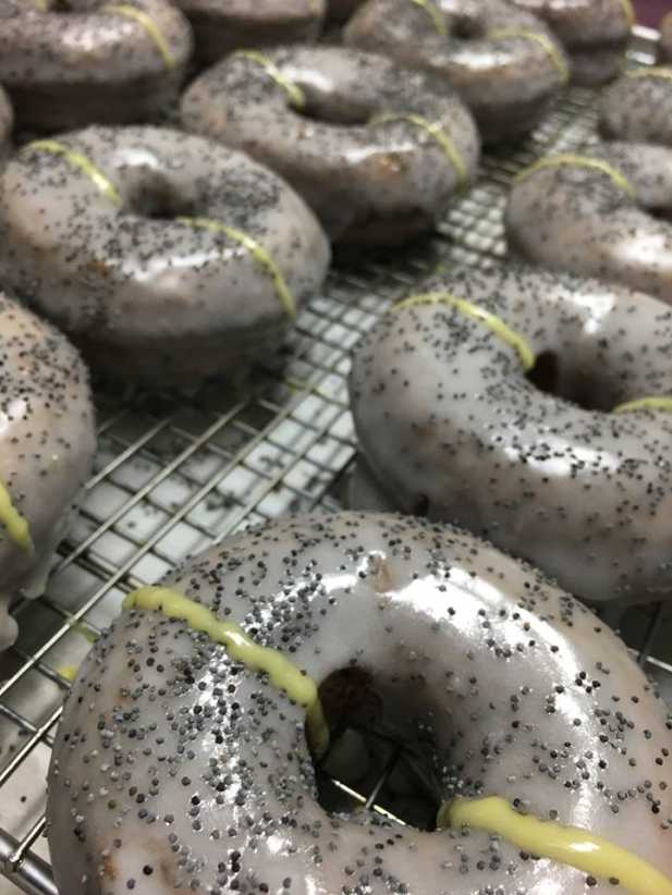 The Doughnut Project 