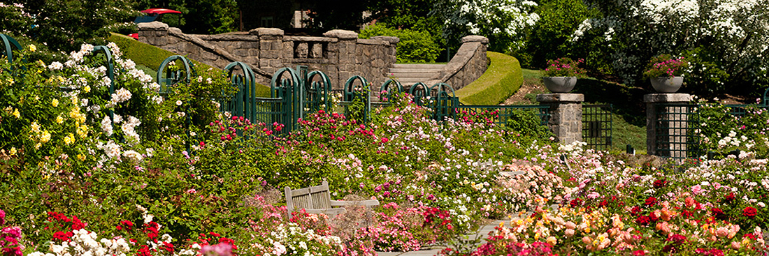 Rose Garden Weekend