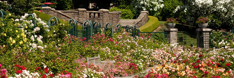 Rose Garden Weekend