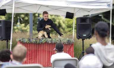 ‘The Lion and the Mouse’ at Bryant Park