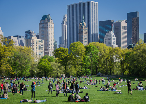 Central Park (Sheep Meadow)