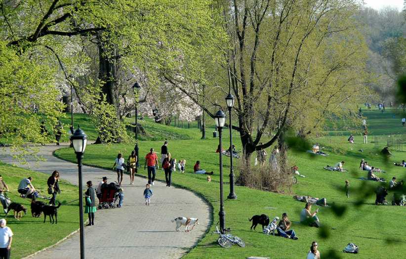 Prospect Park (Long Meadow)