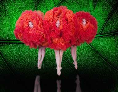 Momix hits the stage at the Joyce Theater