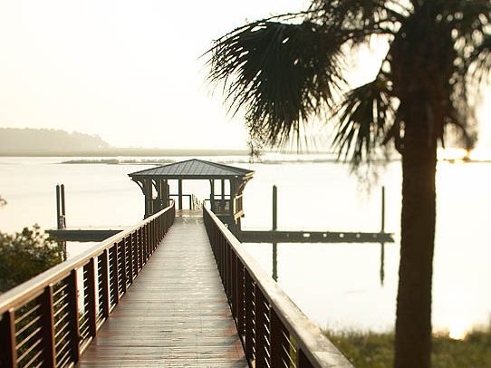 dock on the water in south caroline next to a palm tree