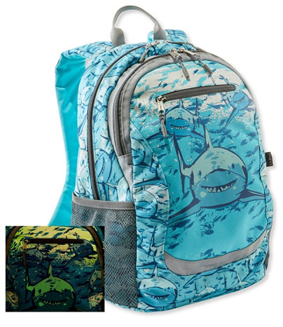 L.L.Bean Discovery Glow Backpack 