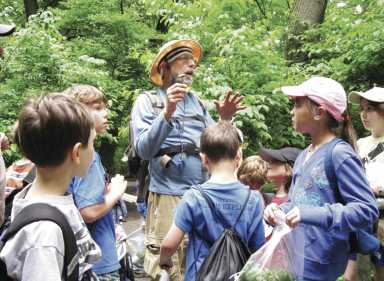 Forage in Prospect Park with ‘Wildman’ Steve Brill