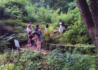 Discover nature at the Kids’ Discovery Stations at Brooklyn Botanic Garden