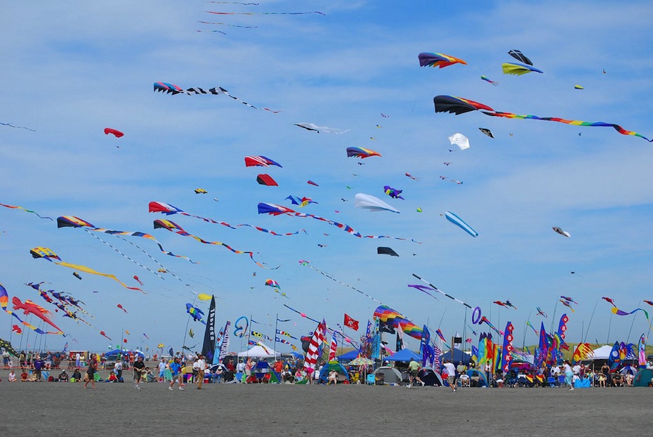 kites in air