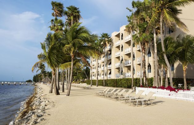 cheeca lodge tropical beach