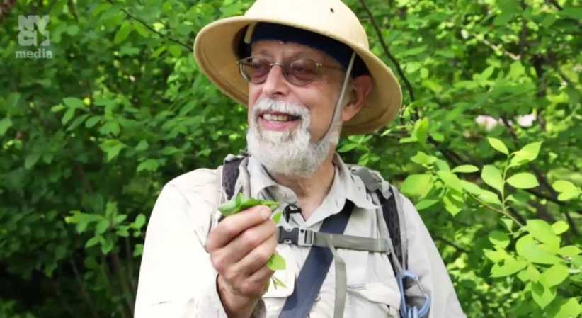 Wildman Steve Brill