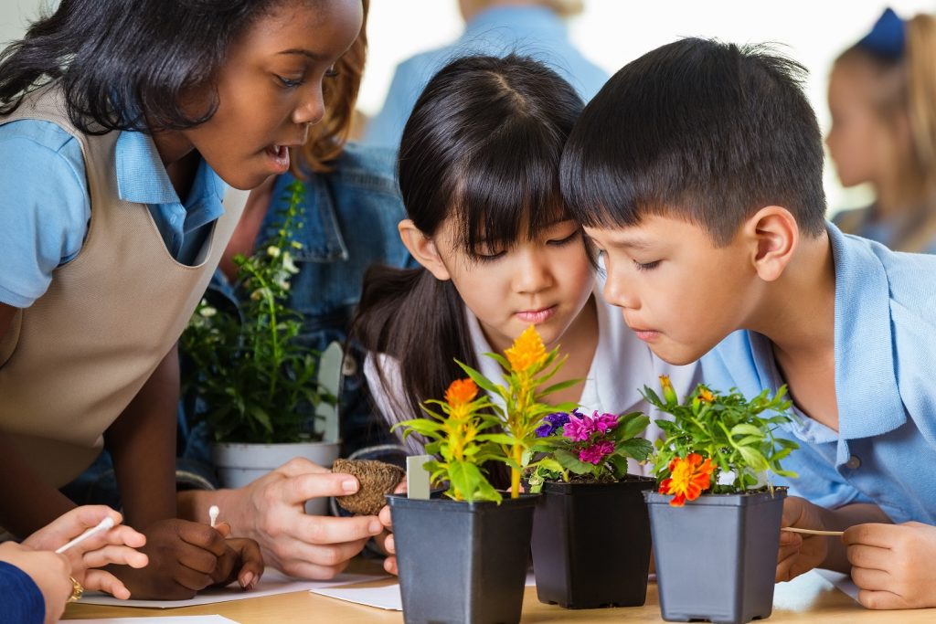 Diverse elementary school students studying plants in science class