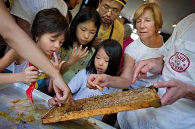wave-hill-hives-and-honey-information-station-credit-joshua-bright_3ry1Khy.jpg__524x349_q85_crop_subsampling-2_upscale